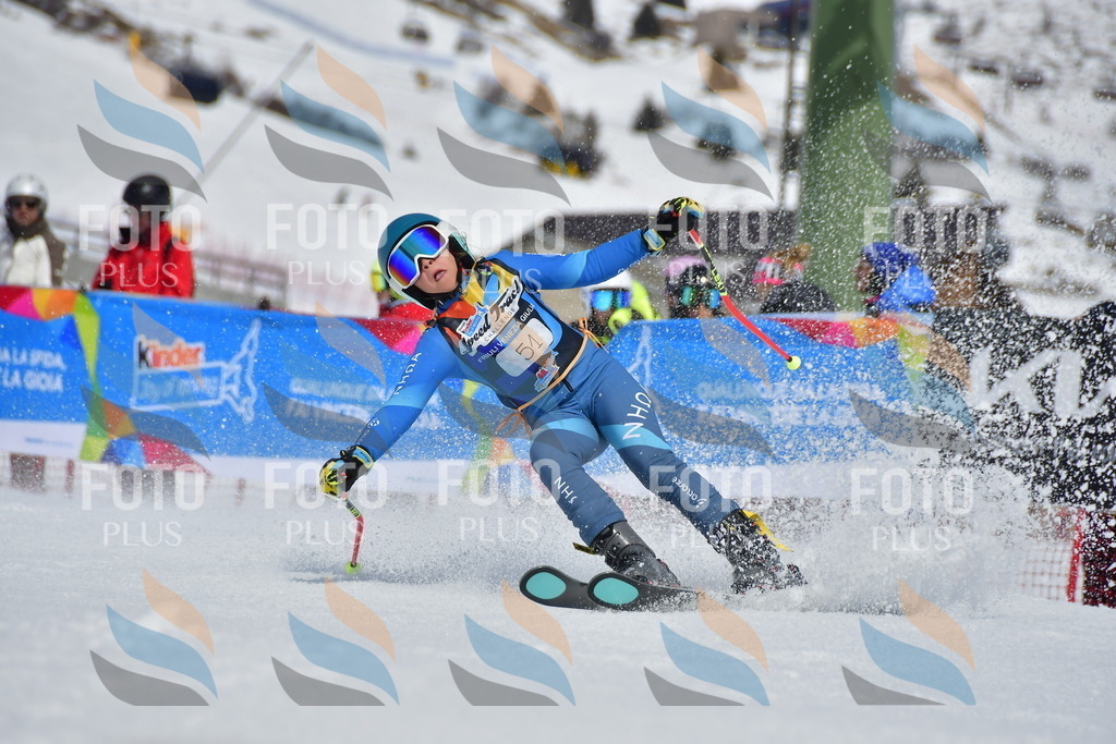 _DSC6986 | holidayphoto