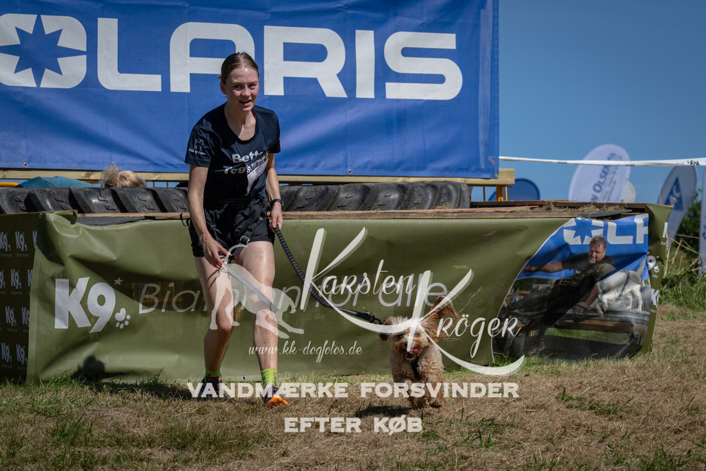 1247_ZZ96623 | kk-dogfotos