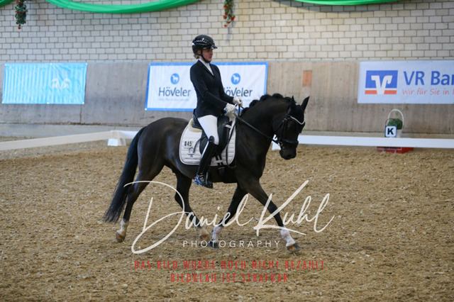 IMG_2790 | Turnierfotos kaufen im Webshop von Daniel Kuhl Photography – entdecke professionelle Reitsportfotos aus Turnieren & Events. Hochwertige Turnierbilder online bestellen & sichern. Jetzt Fotos von Reitsportturnieren kaufen!