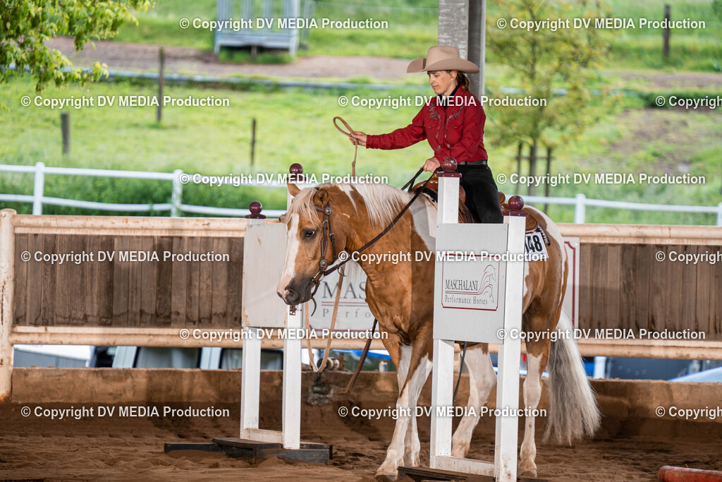 Erbach Tag 1-093 | dv-media-shop - Realisiert mit Pictrs.com