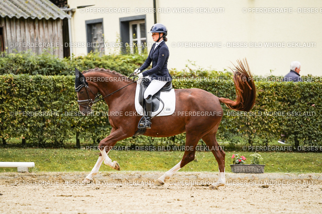 DSC06914 | Pferdegrafie