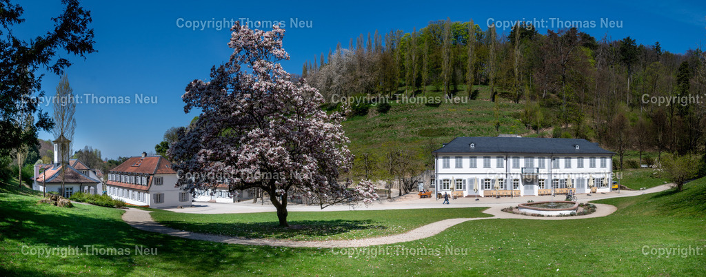 Fuerstenlager-magnolienbluete-bensheim-auerbach-staatspark-parklandschaft-sommersitz-hessische-Fuerstenfamile-Fotografie-Thomas_Neu.jpg-16 | Blick über das historische Gebäudeensemble im Staatspark Fürstenlager in Bensheim-Auerbach, eingebettet in die frühlingshafte Landschaft der Bergstraße. Blühende Magnolien und frisches Grün rahmen die klassizistischen Gebäude, während sich im Hintergrund die bewaldeten Hänge des Odenwaldrandes erheben. Der ehemalige Sommersitz der Landgrafen von Hessen-Darmstadt zeigt sich hier in seiner ganzen landschaftlichen und architektonischen Schönheit.,Bild: Thomas Neu