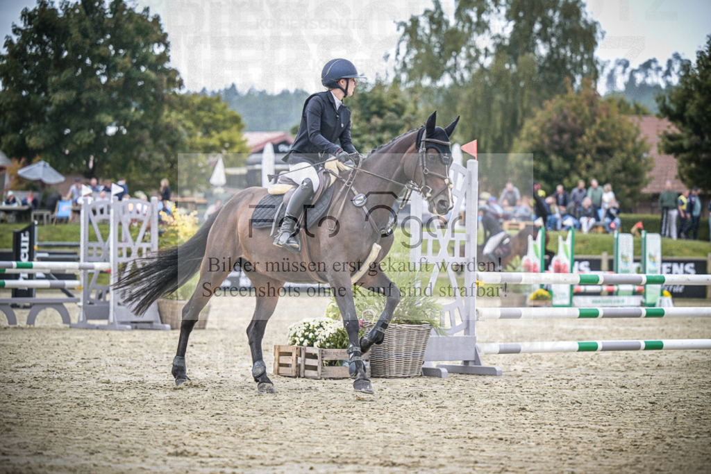 DOS_0225 | Entdecke hochwertige Reitturnierfotos von Foto Oger. Professionell, emotional und authentisch – jetzt Lieblingsmomente im Shop bestellen.Deutschlandweite Turnierfotografie. - Realisiert mit Pictrs.com
