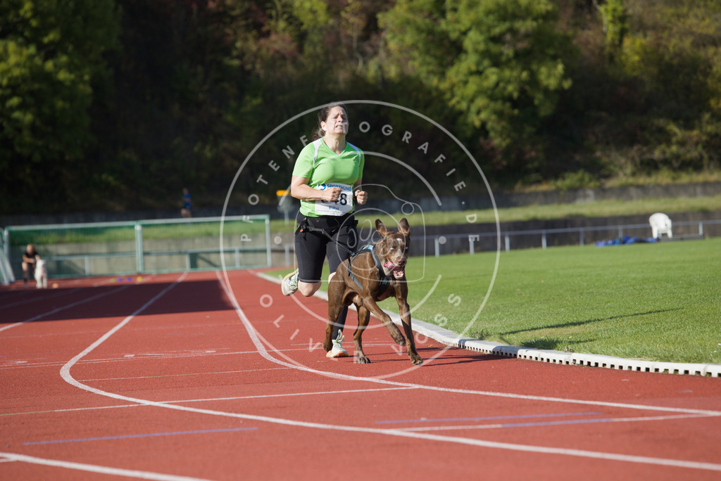 0L8A9326 | Hundefotografie, Tierfotograf, Pfotenfotografie, Fotoshooting Hund, Hunde Portrait, Hundesport, Hundeportraits, Heideshooting, Hunde, Sportfotograf, Hundefotograf, Turnierhundsport, THS,  - Realisiert mit Pictrs.com