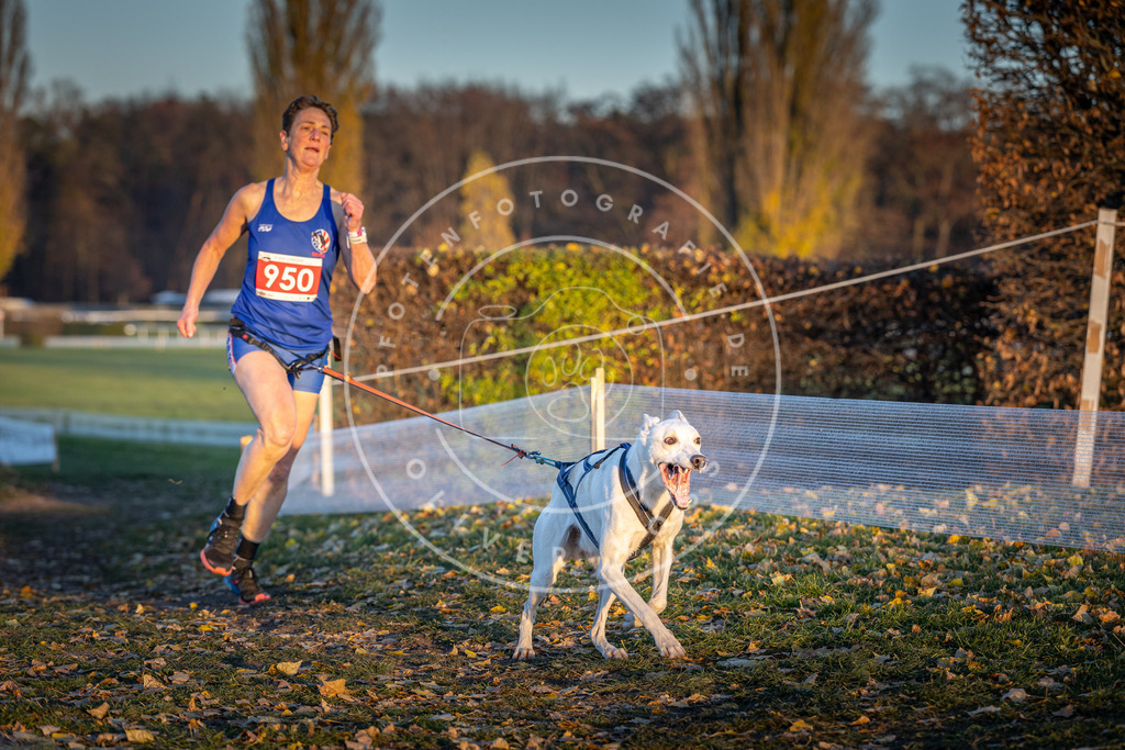 CaniXpix_DV3A5597 | Hundefotografie, Tierfotograf, Pfotenfotografie, Fotoshooting Hund, Hunde Portrait, Hundesport, Hundeportraits, Heideshooting, Hunde, Sportfotograf, Hundefotograf, Turnierhundsport, THS,  - Realisiert mit Pictrs.com