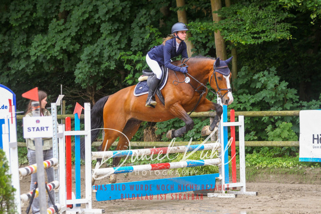 DKP44938 | Turniersportfotografie; Pferdefotografie; Dressurfotografie