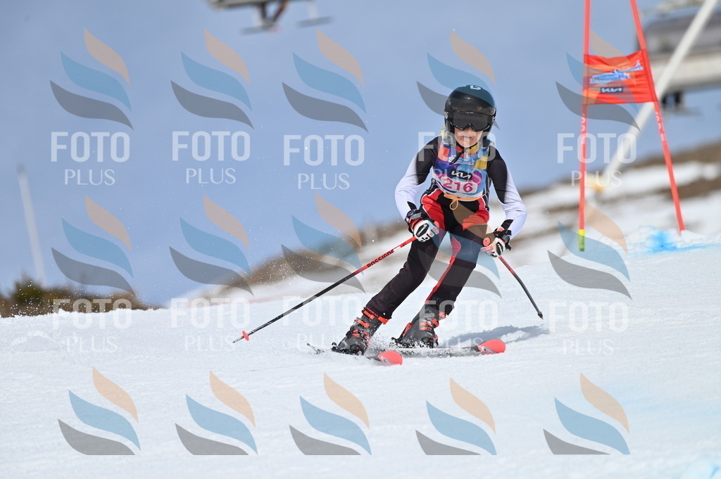 BGV_1236 | holidayphoto