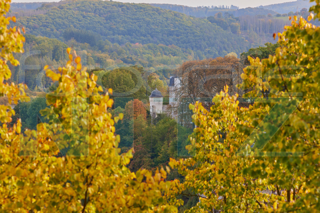 2022-10-12 14-12-45__5_27189 | Nitz Fotografie aus Montabaur bietet Ihnen hier die Möglichkeit Bilder auszusuchen und zu bestellen. 