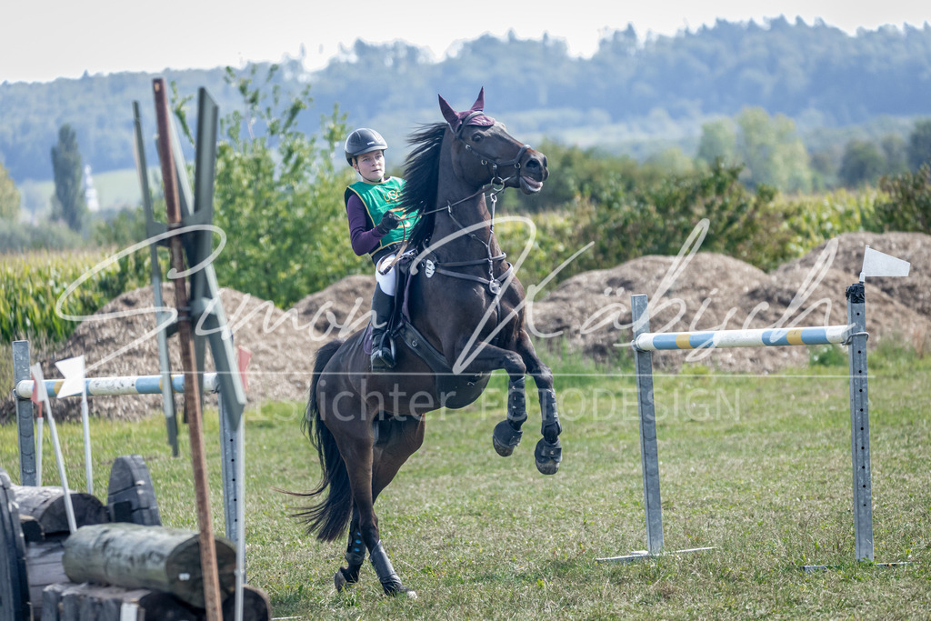 20250907-_3LR7904 | Tierfotografie Pferde, Hunde, Katzen, Haustiere.
Turnierfotografie Reitturniere, Reiten, Springreiten, Dressur in Hanau, dem Main-Kinzig-Kreis und dem Rhein-Main- Gebiet um Frankfurt