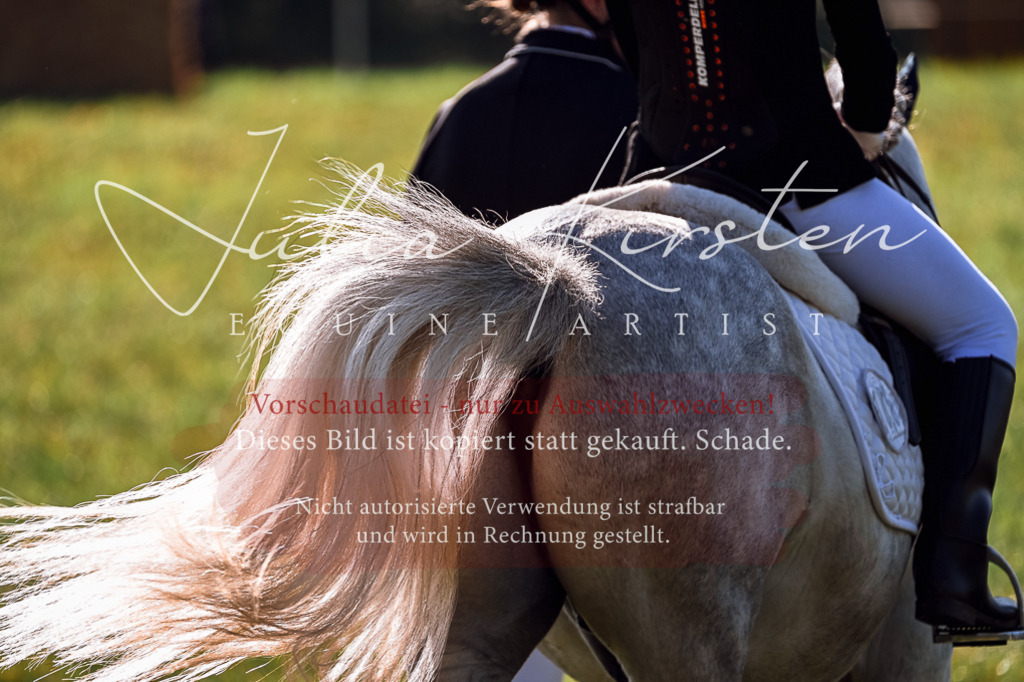 DSC_0423 | Pferde- und Turnierfotografie in Westsachsen. Pferdeportraits, Auftragszeichnungen und intuitive Kunst.