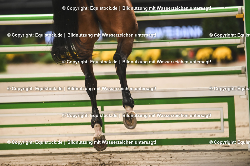 20241114_BW-Bank Hallenchampionat_TOMsPiC_0030 | Foto: Thomas Hartig