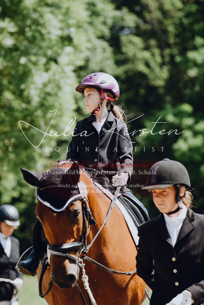 DSC_2113 | Pferde- und Turnierfotografie in Westsachsen. Pferdeportraits, Auftragszeichnungen und intuitive Kunst.