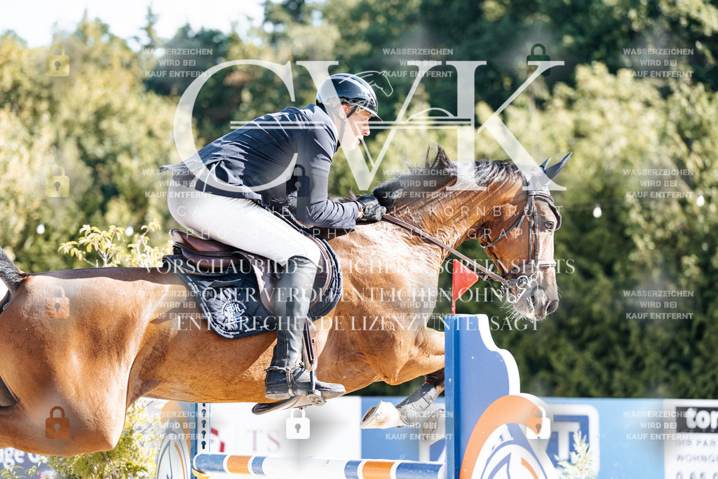 CK904756 | Turnierfotografie Pferdefotografie Trier Rheinland-Pfalz Pferdesport Reitsport Tierfotografie Sportfotografie Pferdevideo Pferdevideografie Equestrianvideography equestrianphotography  - Realisiert mit Pictrs.com