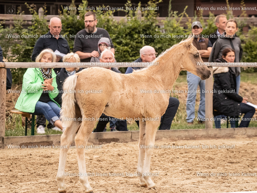 A10I3088 15.56.14 | photographylinaismer - Realisiert mit Pictrs.com