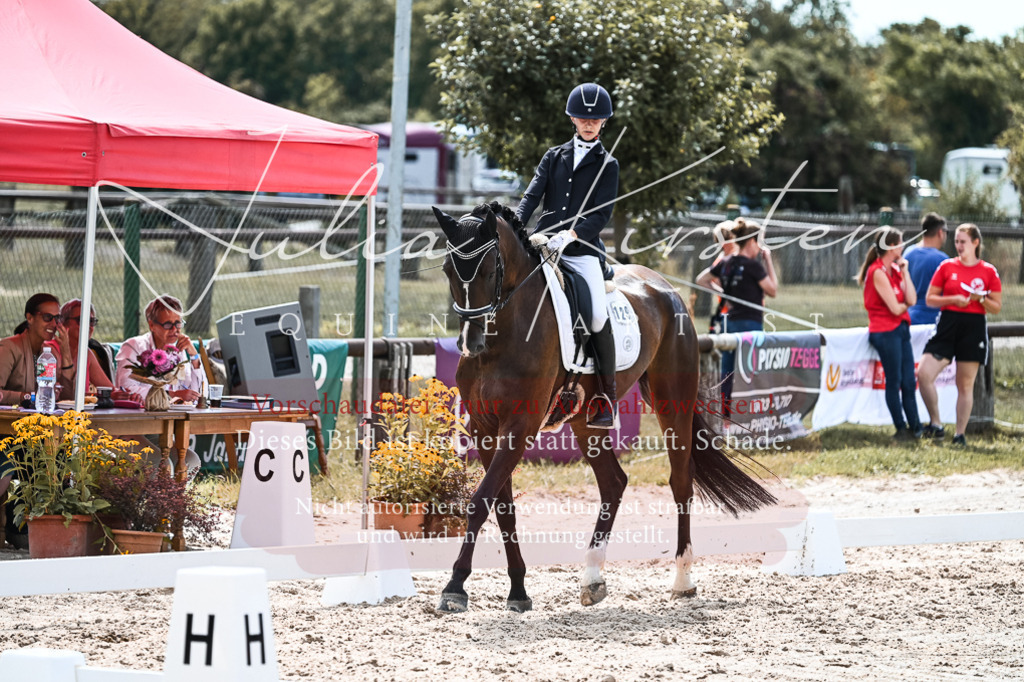 DSC_5182 | Pferde- und Turnierfotografie in Westsachsen. Pferdeportraits, Auftragszeichnungen und intuitive Kunst.