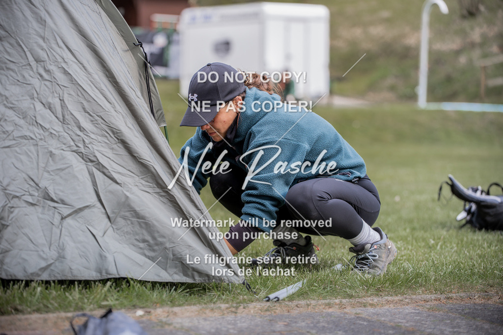 NR__0622 | nelerasche