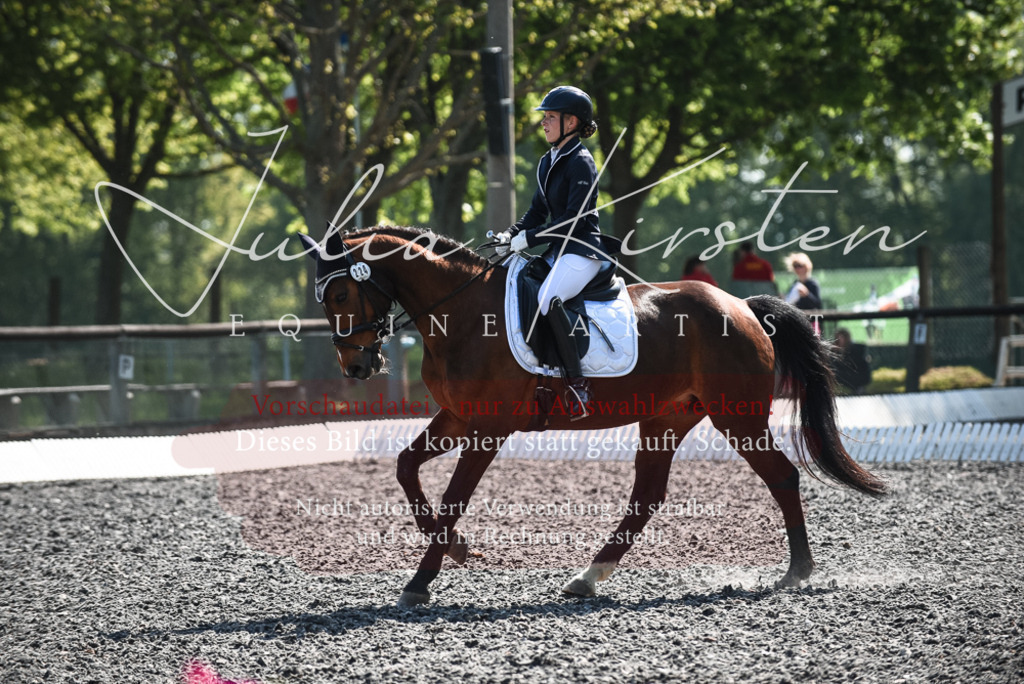 DSC_8906 | Pferde- und Turnierfotografie in Westsachsen. Pferdeportraits, Auftragszeichnungen und intuitive Kunst.