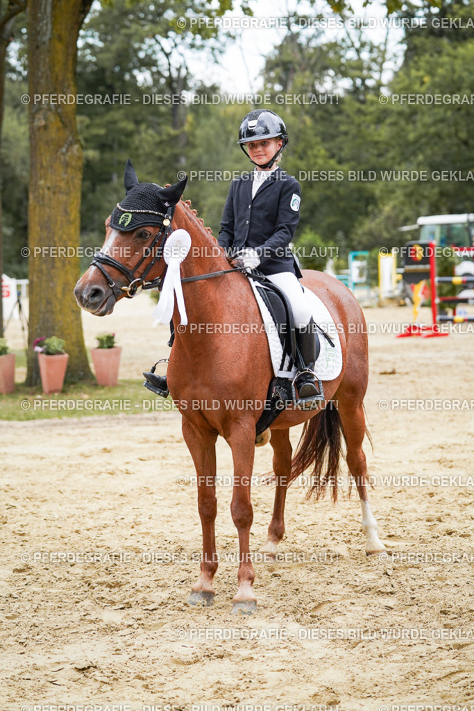 DSC06109 | Pferdegrafie