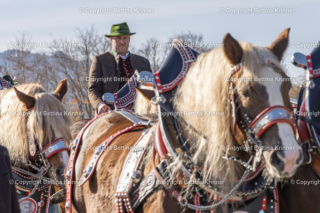 LBT24-1266 | foto-bettina-krinner - Realisiert mit Pictrs.com