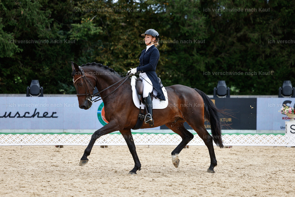 11-066-Dressur S___-StoibPH-1241 | working equitationturnier fotograf videograf stoibphotography marixx film working equitation deutschland reitsport turnierfotografie eventfotografie equestrian events