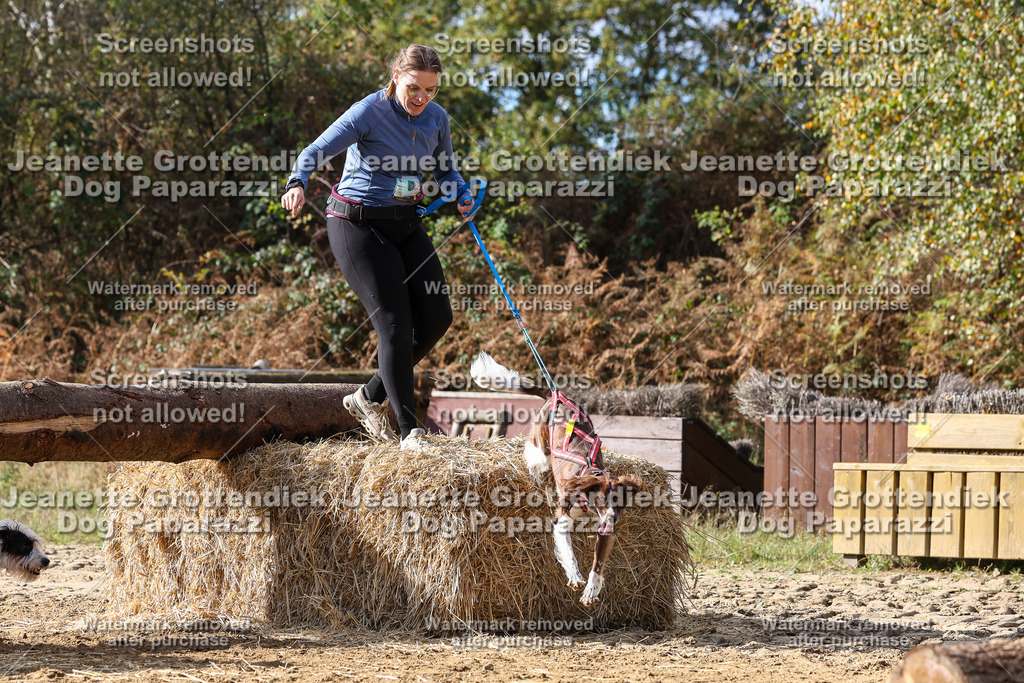 Dog Paparazzi - Strongdog 10-25-5269 | Dog Paparazzi Jeanette Grottendiek Fotografie & Videografie - Realisiert mit Pictrs.com