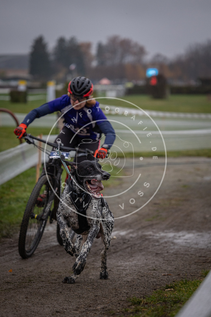 CaniXpix_0L8A1432 | Hundefotografie, Tierfotograf, Pfotenfotografie, Fotoshooting Hund, Hunde Portrait, Hundesport, Hundeportraits, Heideshooting, Hunde, Sportfotograf, Hundefotograf, Turnierhundsport, THS,  - Realisiert mit Pictrs.com