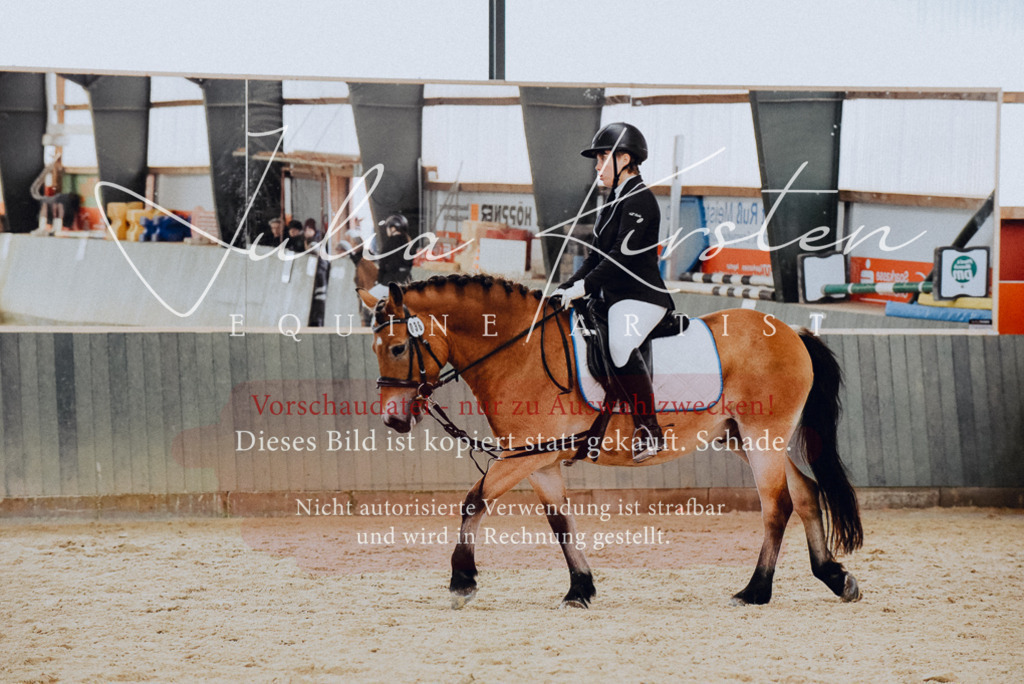 DSC_7283 | Pferde- und Turnierfotografie in Westsachsen. Pferdeportraits, Auftragszeichnungen und intuitive Kunst.