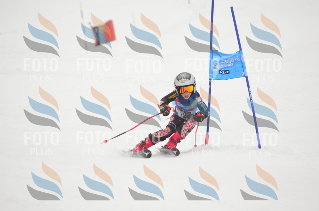 C1566 | holidayphoto