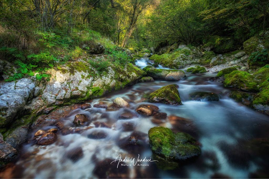 Dem Bach entlang | Andre Wandrei - Nature Artworx - Realisiert mit Pictrs.com
