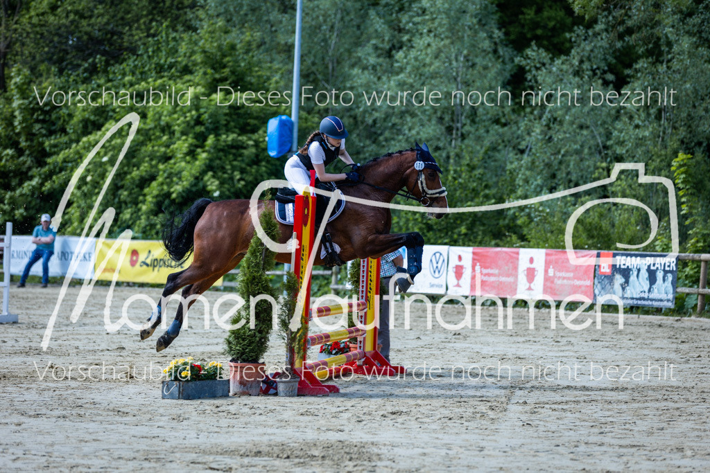 Donop24-ESpr-044 | MomenTaufnahmen Pferdesportfotos