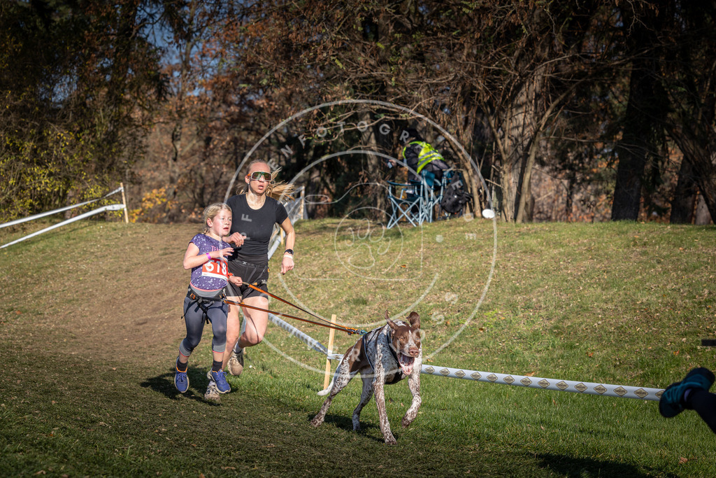 CaniXpix_0L8A8627 | Hundefotografie, Tierfotograf, Pfotenfotografie, Fotoshooting Hund, Hunde Portrait, Hundesport, Hundeportraits, Heideshooting, Hunde, Sportfotograf, Hundefotograf, Turnierhundsport, THS,  - Realisiert mit Pictrs.com