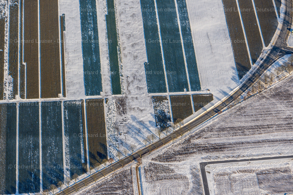 4044017 | schneebedeckte Feldstrukturen bei Scholtenhave