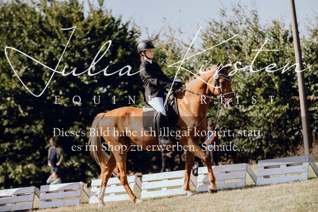 DSC_7246 | Pferde- und Turnierfotografie in Westsachsen. Pferdeportraits, Auftragszeichnungen und intuitive Kunst.