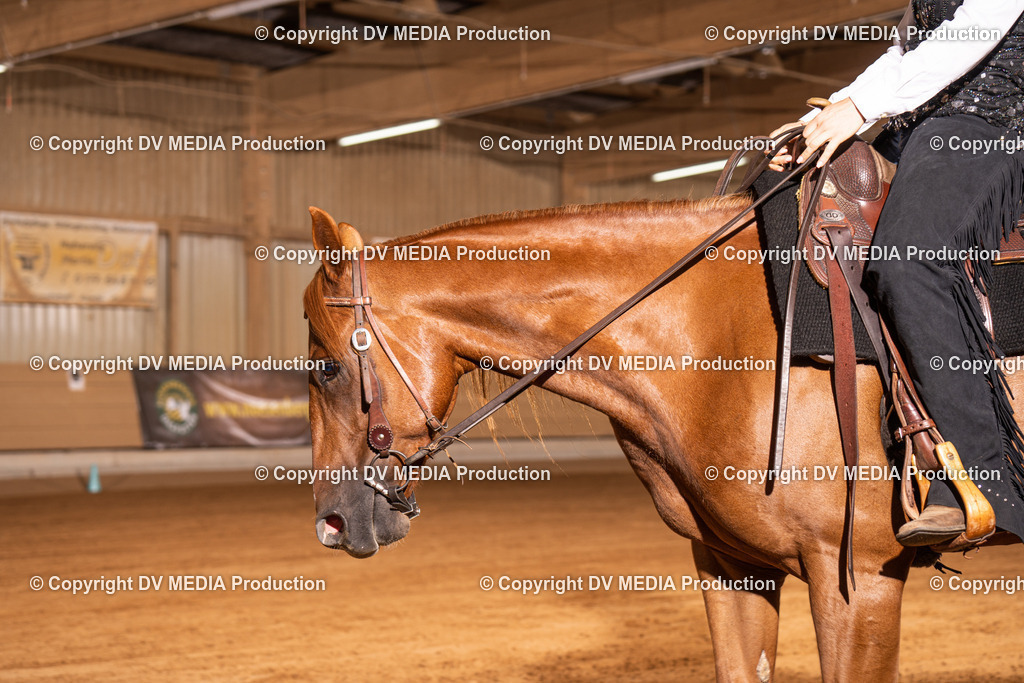 NID01039 | dv-media-shop - Realisiert mit Pictrs.com