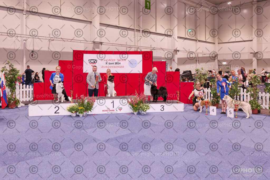 202406_ÖKV-IHA-Tulln24_NZ9_9528 | proPHOTO - Realisiert mit Pictrs.com