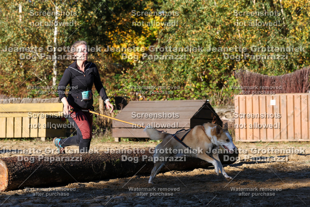 Dog Paparazzi - Strongdog 10-25-1317 | Dog Paparazzi Jeanette Grottendiek Fotografie & Videografie - Realisiert mit Pictrs.com