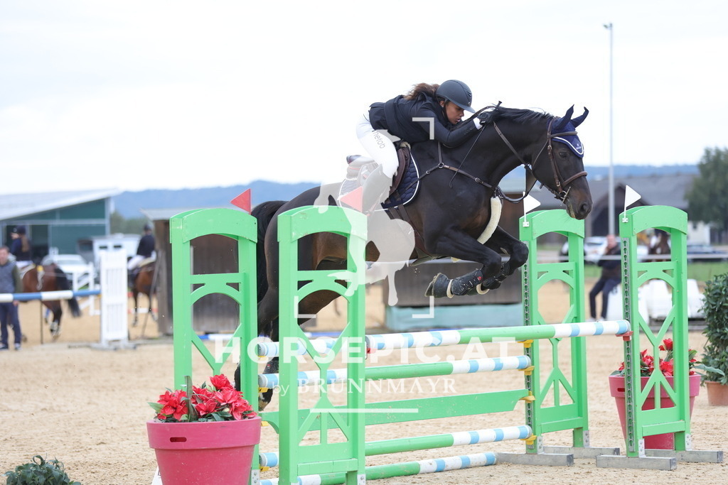 0P6A0142 | Willkommen bei Brunnmayr - Design & Fotografie – Ihrem Spezialisten für Reitturniere und Pferdeveranstaltungen in Oberösterreich, Salzburg und Bayern! Seit über 17 Jahren sind wir leidenschaftlich dabei.
