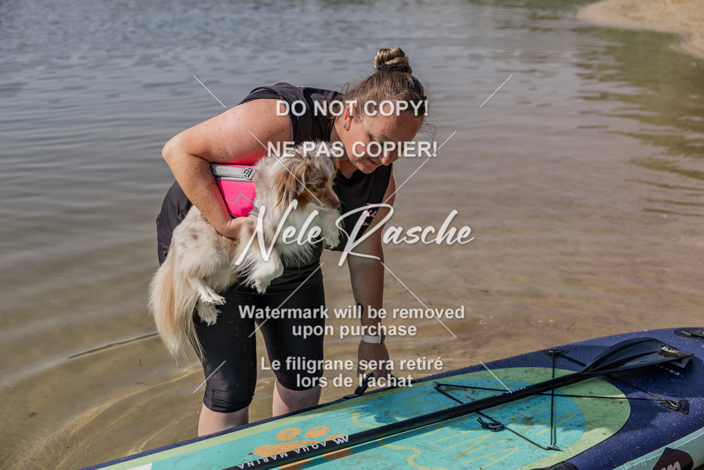 BUHU_SUP_251 | nelerasche
