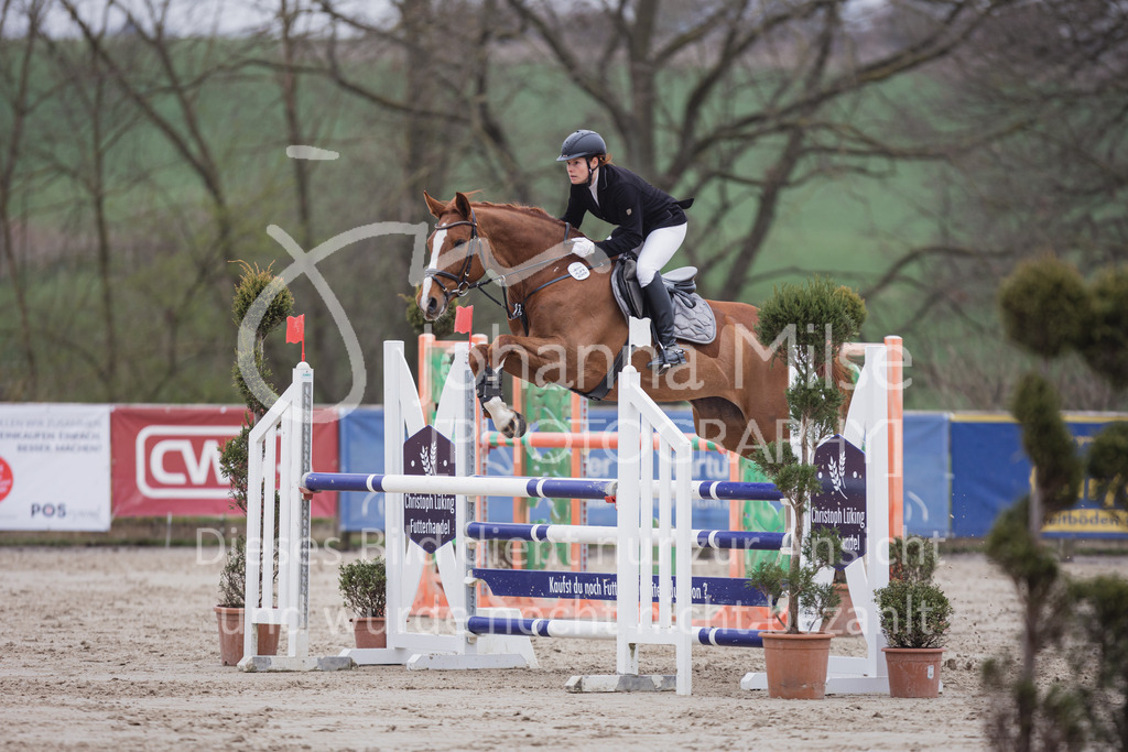 230408_Frühlingsfest_Stil-L-2-832 | Deine schönsten Turniermomente als professionelle Fotos! Entdecke hochwertige Pferdesport-Fotografie im Online-Shop. Jetzt Fotos finden & bestellen!