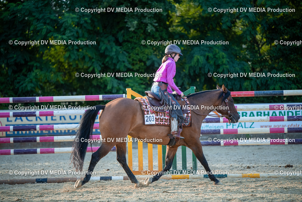 EWP_7252 | dv-media-shop - Realisiert mit Pictrs.com