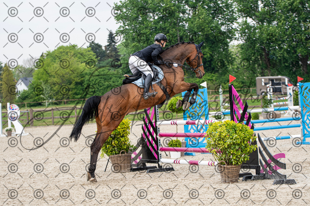 KPT_3687 | andre_photographic