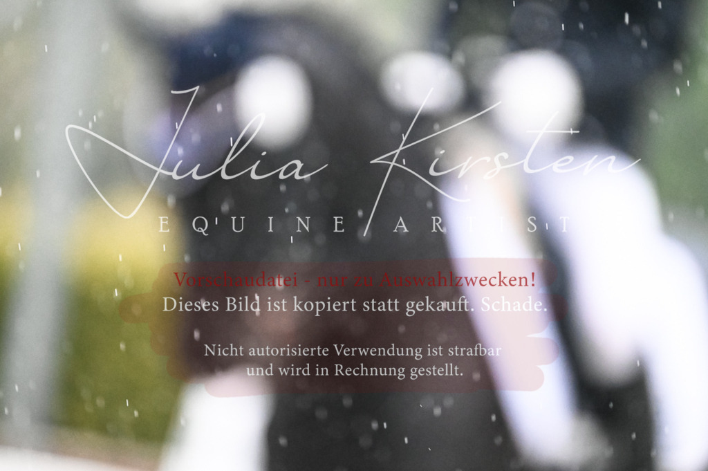 DSC_4711 | Pferde- und Turnierfotografie in Westsachsen. Pferdeportraits, Auftragszeichnungen und intuitive Kunst.
