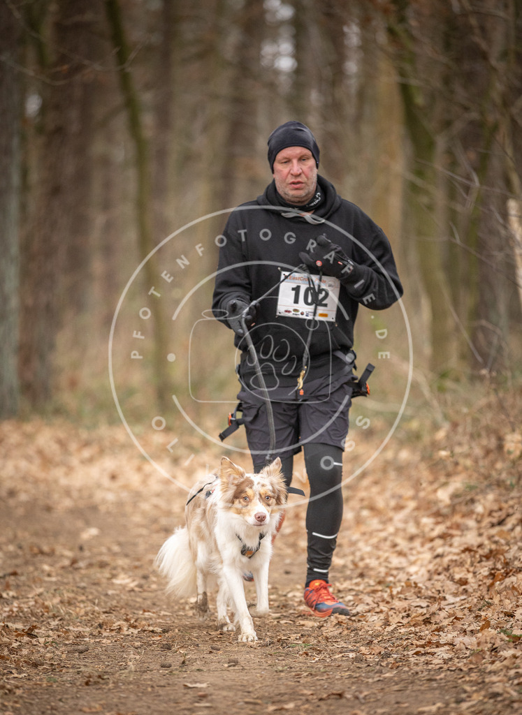 Pfotenfotografie_DV3A7686 | Hundefotografie, Tierfotograf, Pfotenfotografie, Fotoshooting Hund, Hunde Portrait, Hundesport, Hundeportraits, Heideshooting, Hunde, Sportfotograf, Hundefotograf, Turnierhundsport, THS,  - Realisiert mit Pictrs.com
