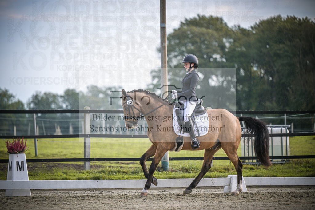 DOS_4530 | Entdecke hochwertige Reitturnierfotos von Foto Oger. Professionell, emotional und authentisch – jetzt Lieblingsmomente im Shop bestellen.Deutschlandweite Turnierfotografie. - Realisiert mit Pictrs.com