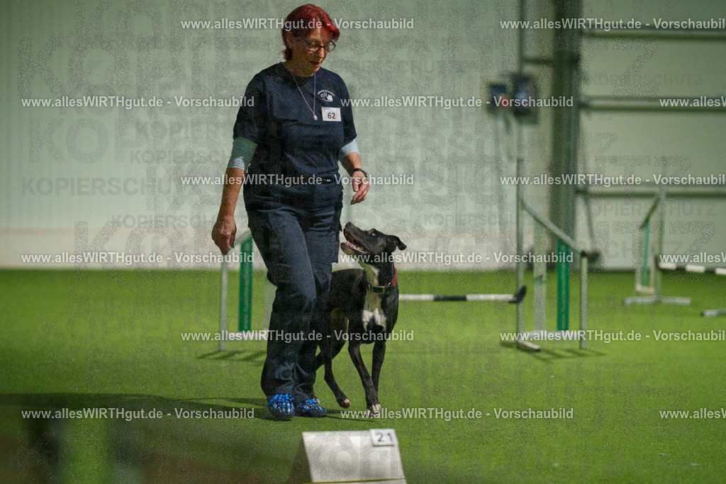 7R507418 | Professionelle Tierfotografie in Mönchengladbach von Daniel Wirth (allesWIRTHgut). Liebevolle & natürliche Bilder von Hunden & Katzen für unvergessliche Erinnerungen.