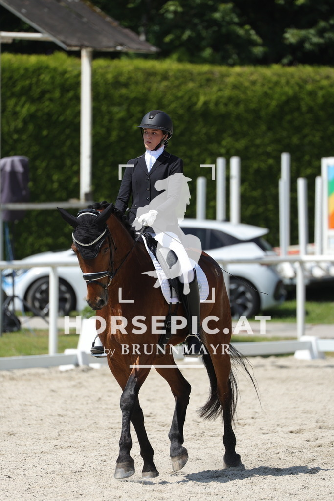 0P6A1218 | Willkommen bei Brunnmayr - Design & Fotografie – Ihrem Spezialisten für Reitturniere und Pferdeveranstaltungen in Oberösterreich, Salzburg und Bayern! Seit über 17 Jahren sind wir leidenschaftlich dabei.