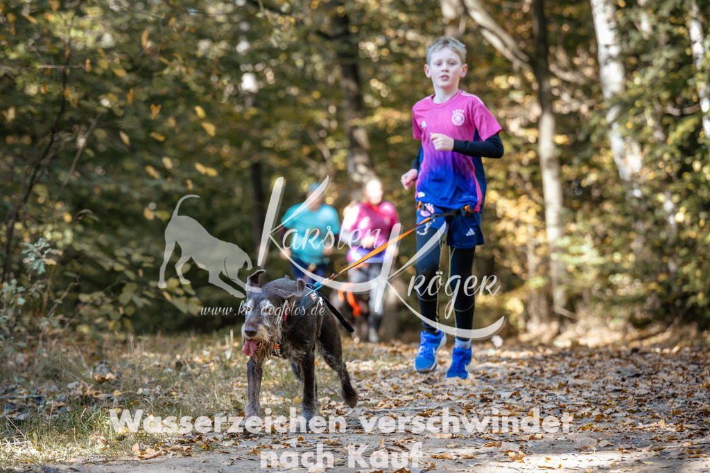 1222_ZZ95002 | kk-dogfotos