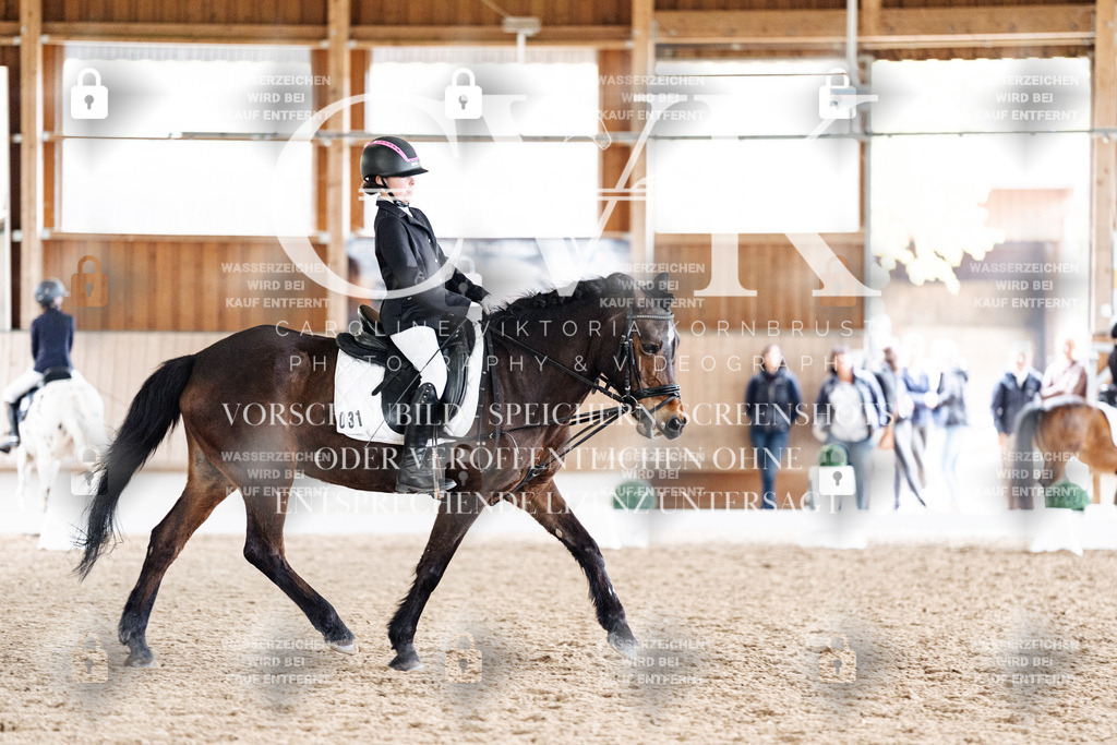 CK901323 | Turnierfotografie Pferdefotografie Trier Rheinland-Pfalz Pferdesport Reitsport Tierfotografie Sportfotografie Pferdevideo Pferdevideografie Equestrianvideography equestrianphotography  - Realisiert mit Pictrs.com