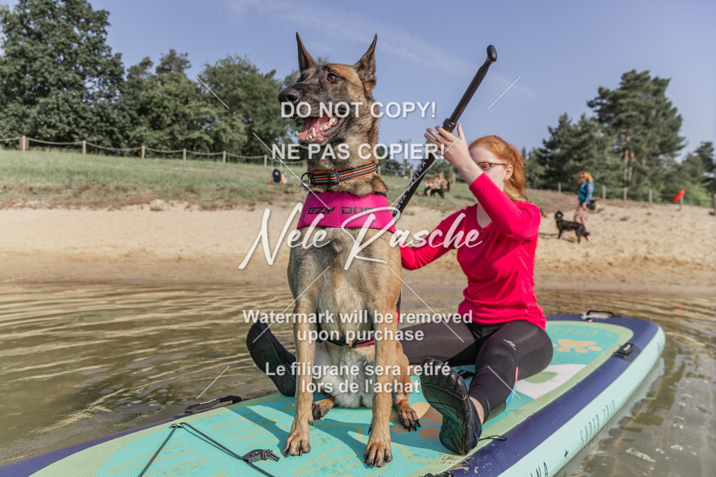 BUHU_SUP_020 | nelerasche