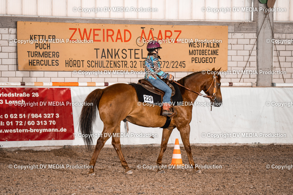 ZH200289 | dv-media-shop - Realisiert mit Pictrs.com